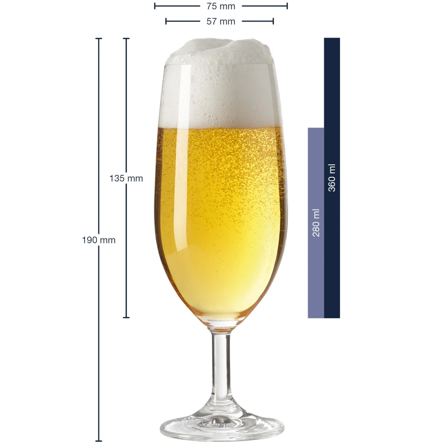 Bierglas DAILY 360 ml 6er-Set*LEONARDO