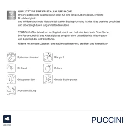 Champagnerschale PUCCINI 350 ml 6er-Set*LEONARDO