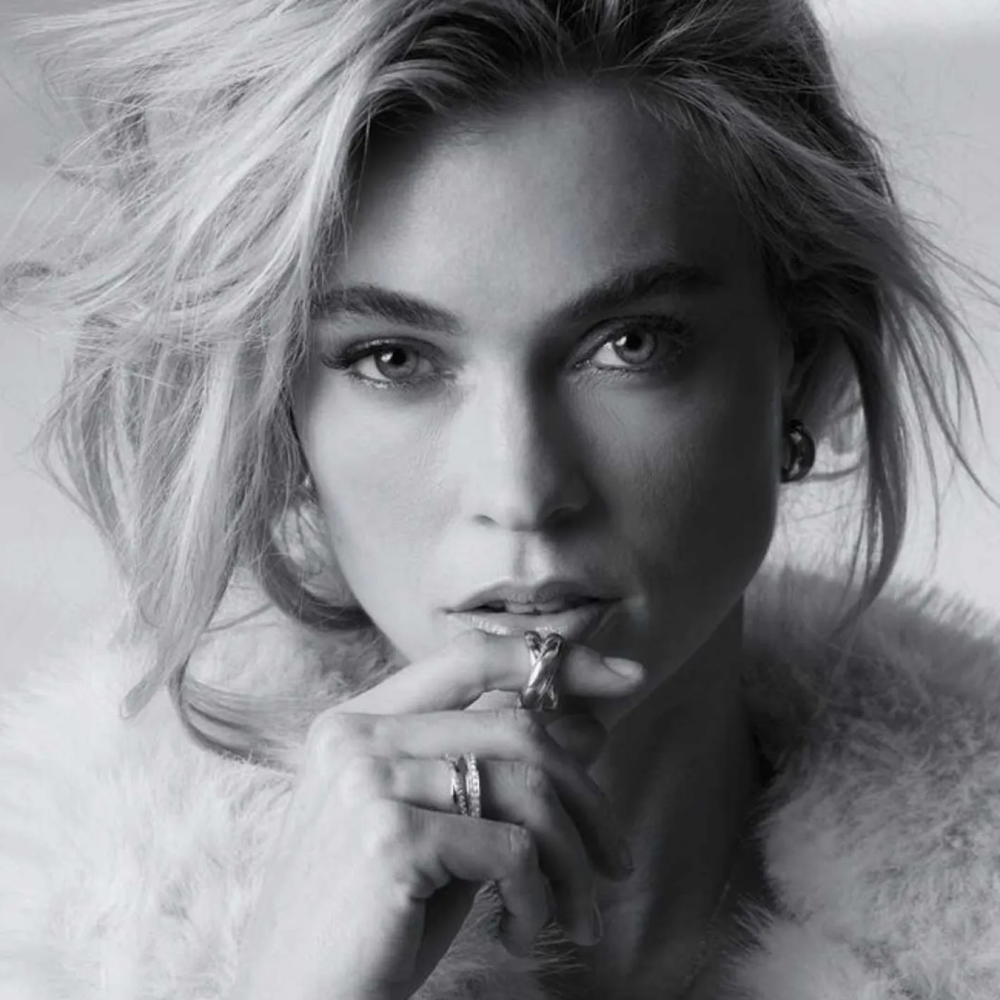 Creole MAUDE*LEONARDO New