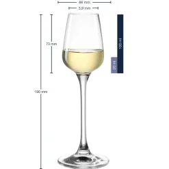 Digestifglas TIVOLI 100 ml 6er-Set*LEONARDO Outlet