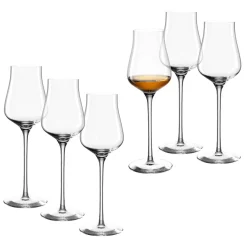 Grappaglas BRUNELLI 210 ml 6er-Set*LEONARDO