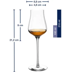 Grappaglas BRUNELLI 210 ml 6er-Set*LEONARDO