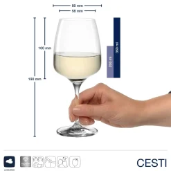 Kelchglasset CESTI 12-teilig + Poliertuch*LEONARDO Online