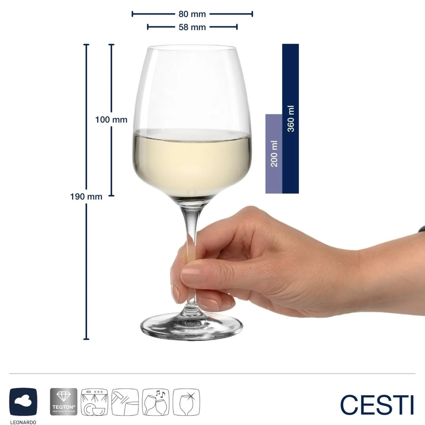 Kelchglasset CESTI 12-teilig + Poliertuch*LEONARDO Online