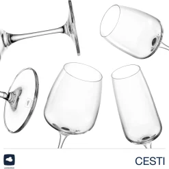 Kelchglasset CESTI 12-teilig + Poliertuch*LEONARDO Online