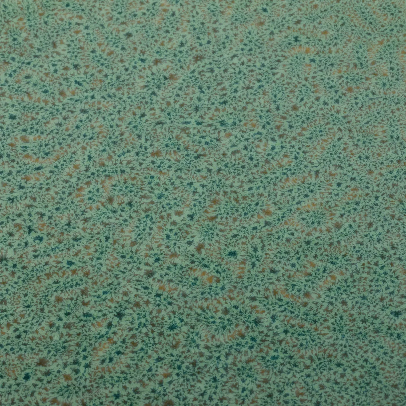 Keramikteller MATERA 27 cm grün 6er-Set*LEONARDO Sale