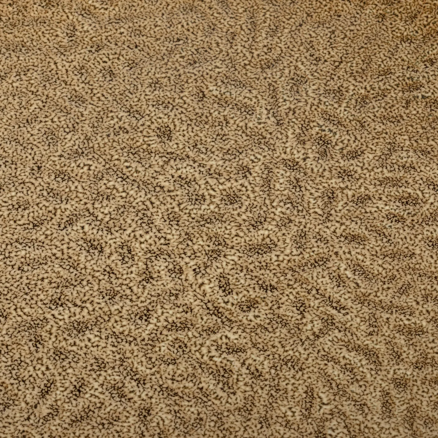 Keramikteller MATERA 27 cm beige 6er-Set*LEONARDO Hot