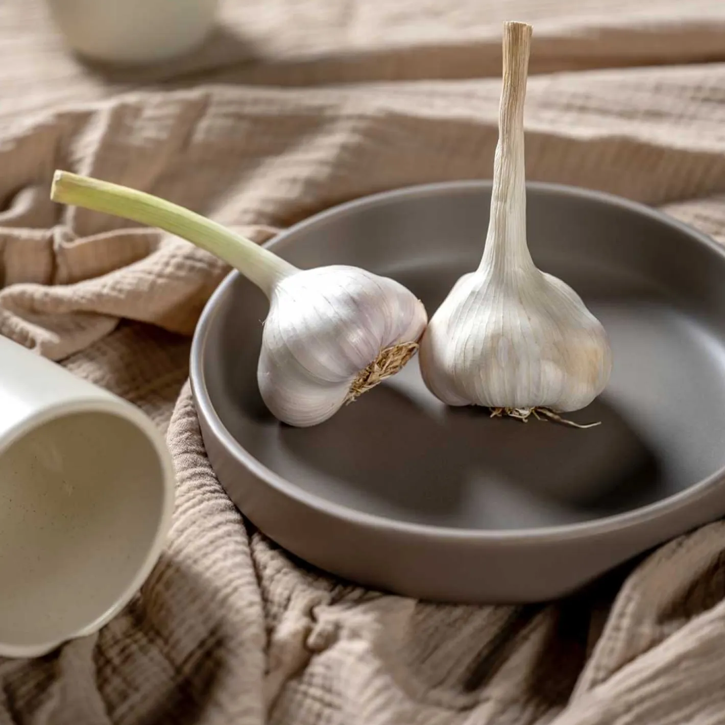 Keramikteller ROMA 20 cm taupe tief 6er-Set*LEONARDO Sale