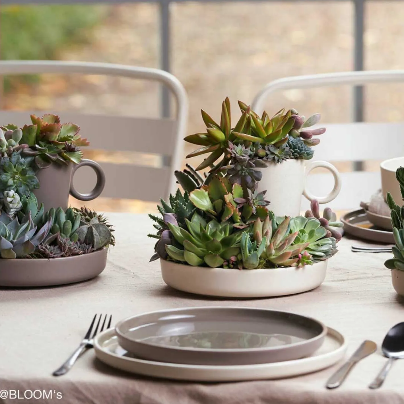 Keramikteller ROMA 20 cm taupe tief 6er-Set*LEONARDO Sale