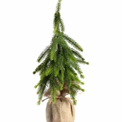 Kiefer 36 cm MAGICO*LEONARDO Sale