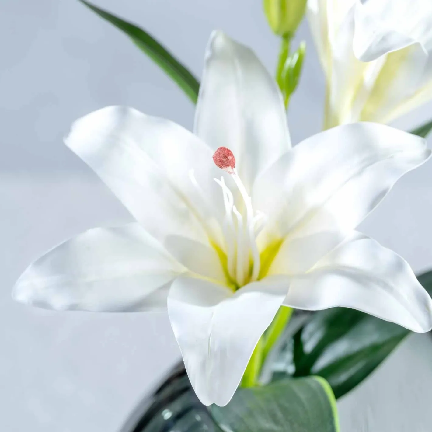 Lilie FIORE 38 cm weiß*LEONARDO Discount