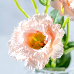 Lysianthus FIORE 78 cm apricot*LEONARDO