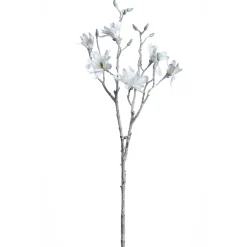 Magnolie 85cm weiß PALAZZO*LEONARDO Sale