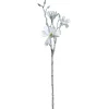 Magnolie 60cm weiß PALAZZO*LEONARDO Best
