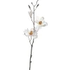 Magnolie VERNAZZA 80 cm weiß*LEONARDO Outlet