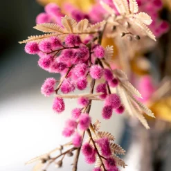 Mimose PALAZZO 70 cm viola*LEONARDO