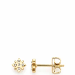 Ohrstecker CAMPAGNOLA gold CIAO*LEONARDO Sale