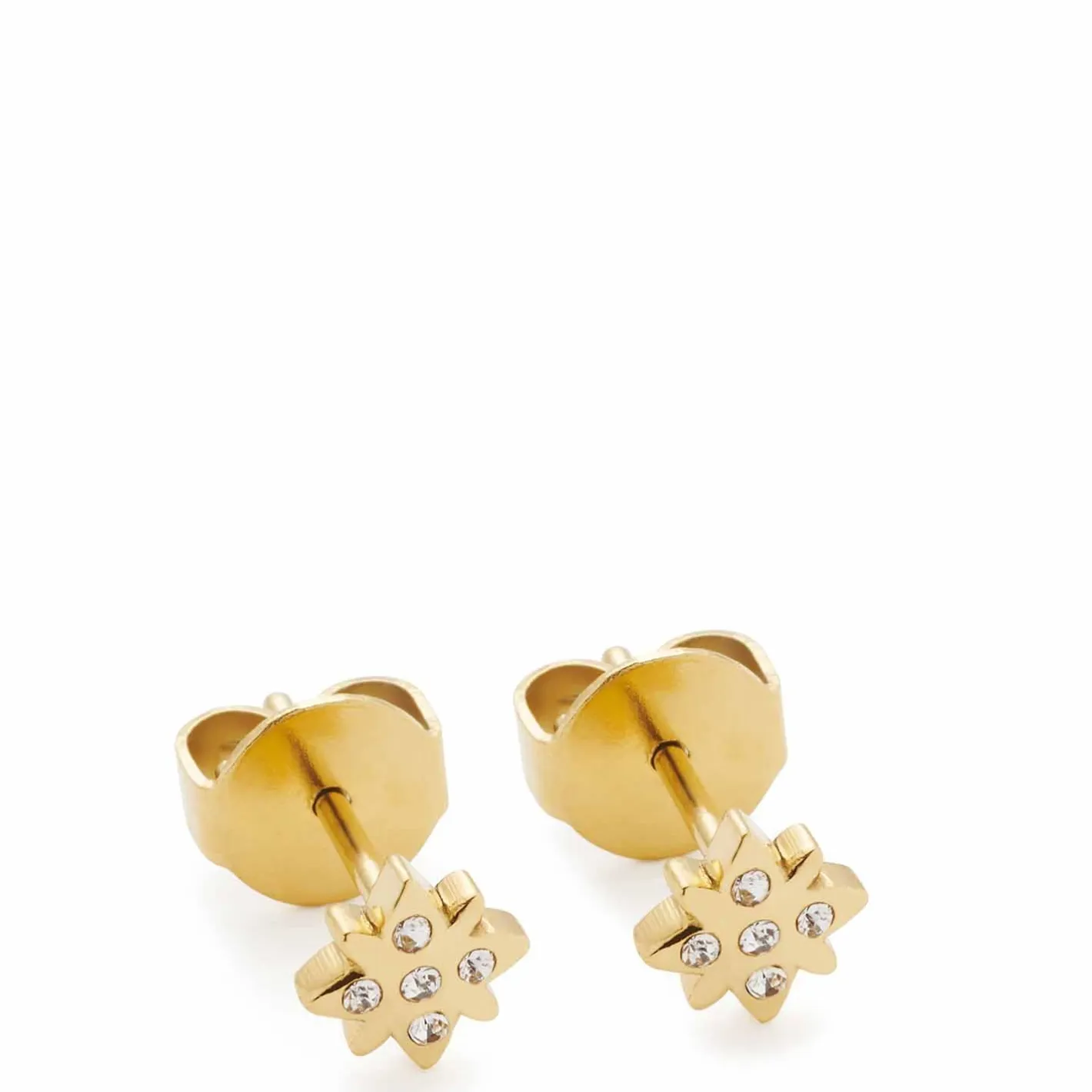 Ohrstecker CAMPAGNOLA gold CIAO*LEONARDO Sale