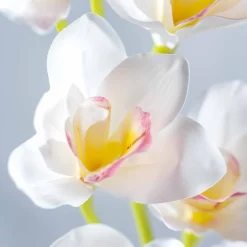 Orchidee FIORE 90 cm weiß*LEONARDO