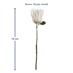 Prothea FIORE 72 cm weiß*LEONARDO Best