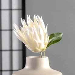 Prothea FIORE 72 cm weiß*LEONARDO Best