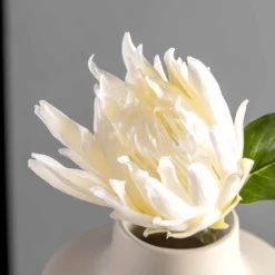 Prothea FIORE 72 cm weiß*LEONARDO Best