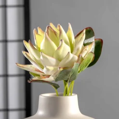 Prothea FIORE 56 cm weiß*LEONARDO New