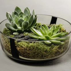 Schale ALVEO 26 cm taupe*LEONARDO Hot