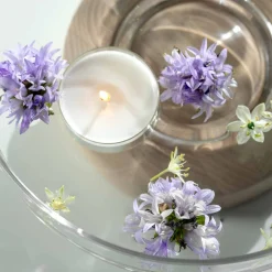 Schale LEGNO 27 cm auf Holzsockel*LEONARDO Sale