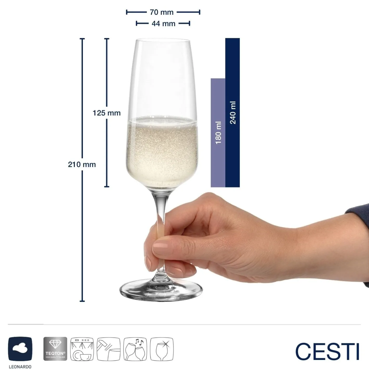 Sektglas CESTI 240 ml 6er-Set + Poliertuch*LEONARDO Online