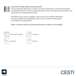 Sektglas CESTI 240 ml 6er-Set + Poliertuch*LEONARDO Online