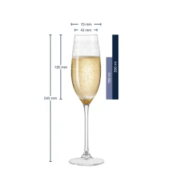 Sektglas CHATEAU 200 ml 6er-Set*LEONARDO Sale