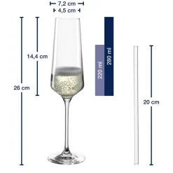 Sektglas Geschenkset PUCCINI 5-teilig 280 ml mit persönlicher Gravur*LEONARDO Outlet