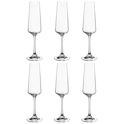 Sektglas PALADINO 220 ml 6er-Set*LEONARDO Online