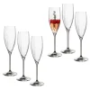 Sektglas POESIA 250 ml grau 6er-Set*LEONARDO Hot