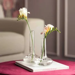 Solifleurvase ARIA 16 cm*LEONARDO Hot