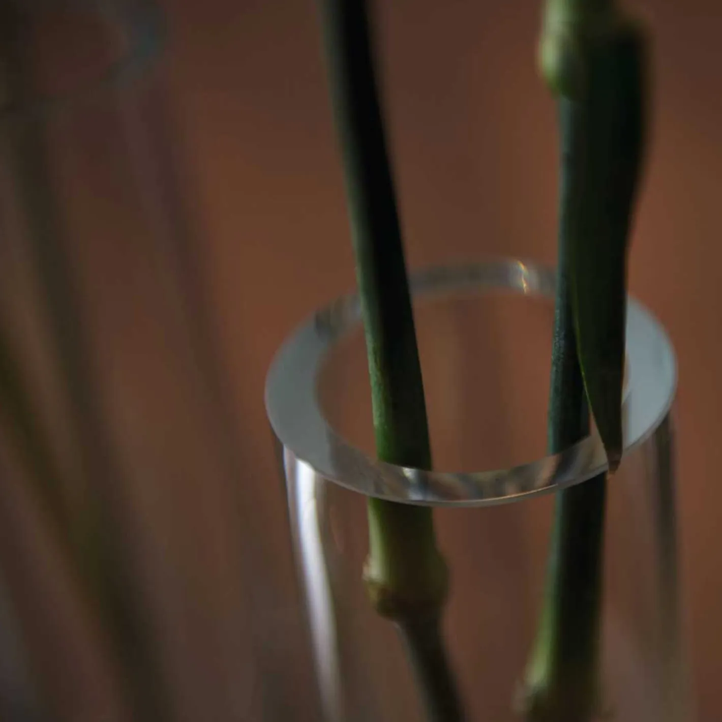 Solifleurvase NOVARA 30 cm satiniert*LEONARDO