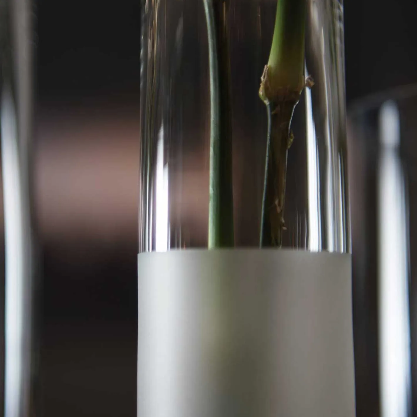 Solifleurvase NOVARA 30 cm satiniert*LEONARDO