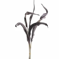 Strelizienblätter FIORE 80 cm taupe 5er-Set*LEONARDO Discount