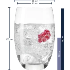 Trinkglas CHEERS 450 ml mit persönlicher Gravur*LEONARDO Best