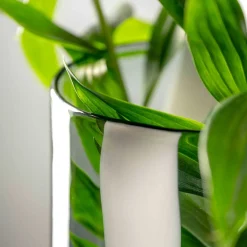 Vase BANDA NERA 40 cm*LEONARDO Sale