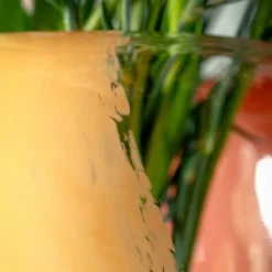 Vase CIPRIA DUE 26 cm apricot/lachs*LEONARDO Online