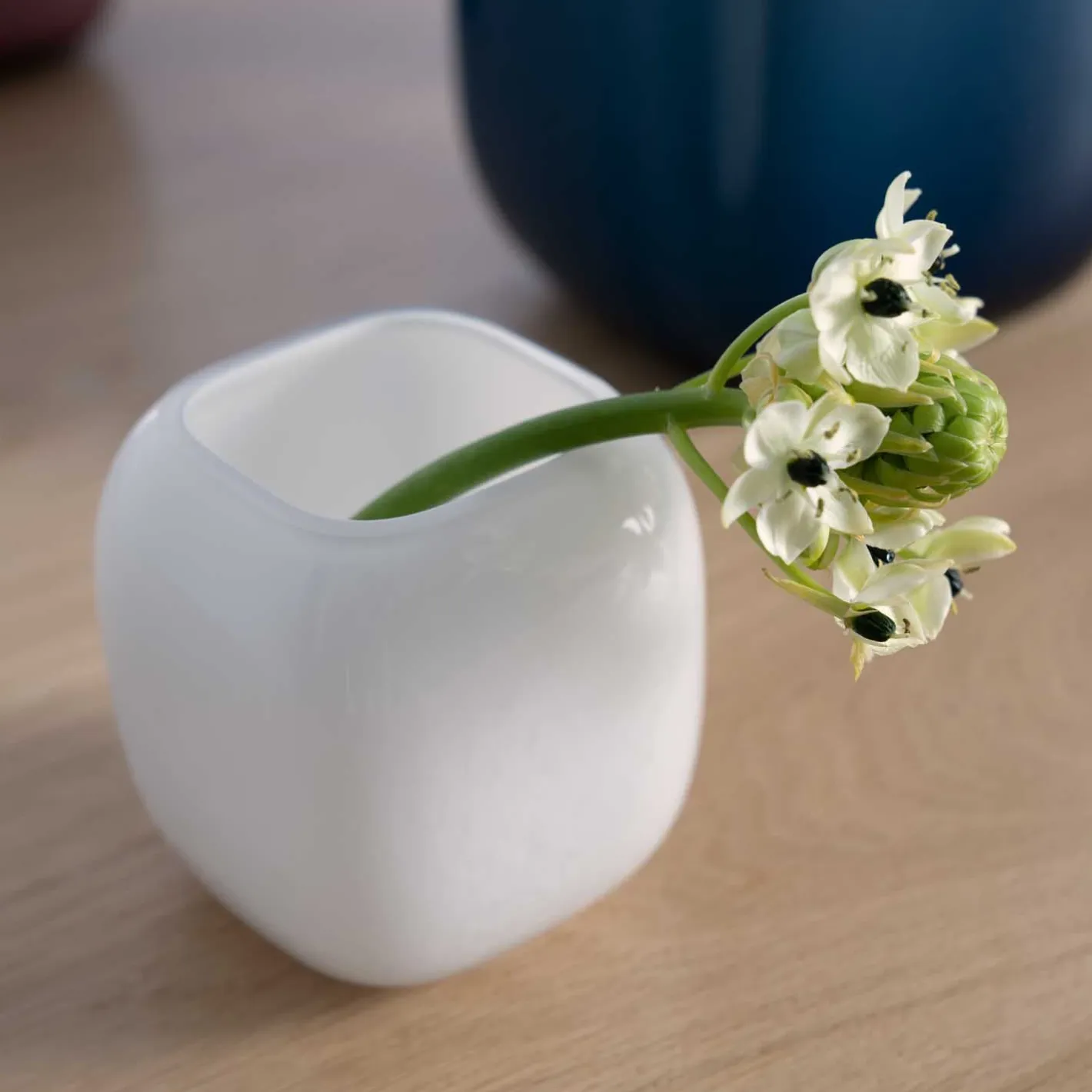 Vase MILANO 9 cm weiß*LEONARDO Online