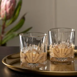 Whiskybecher DOF CAPRI 330 ml 2er-Set mit 8 Kühlsteinen*LEONARDO Hot