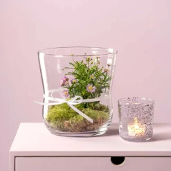 Windlicht VITA 19 cm*LEONARDO Discount